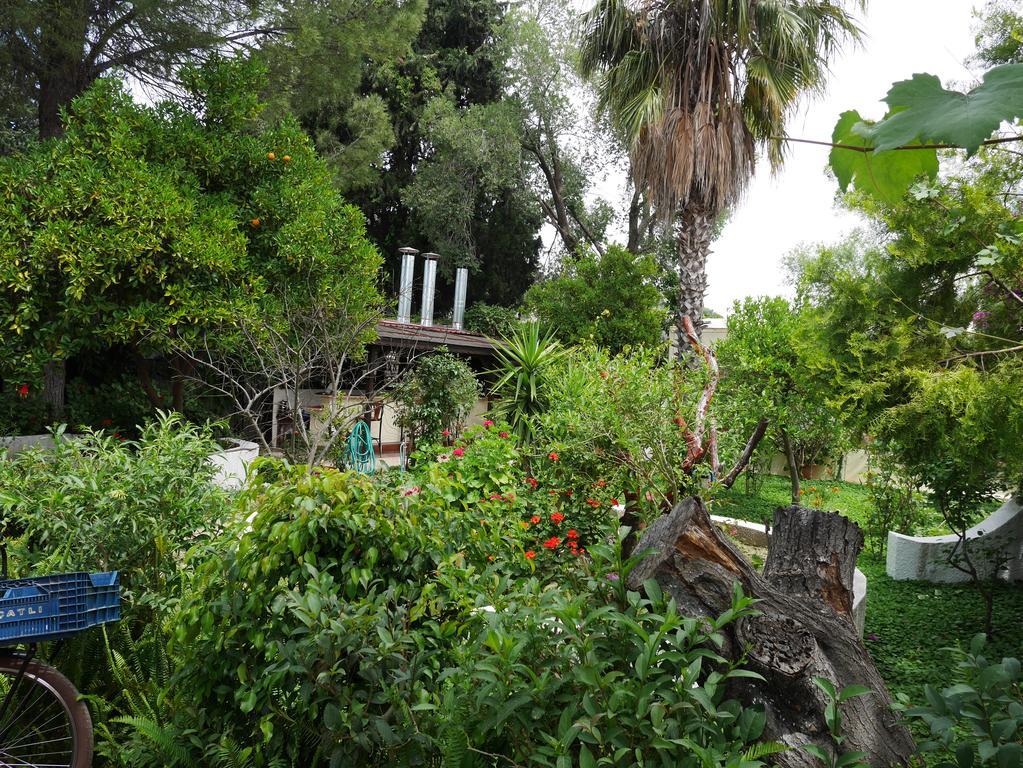 Longhouse Inn Hotel Dalyan Exteriér fotografie